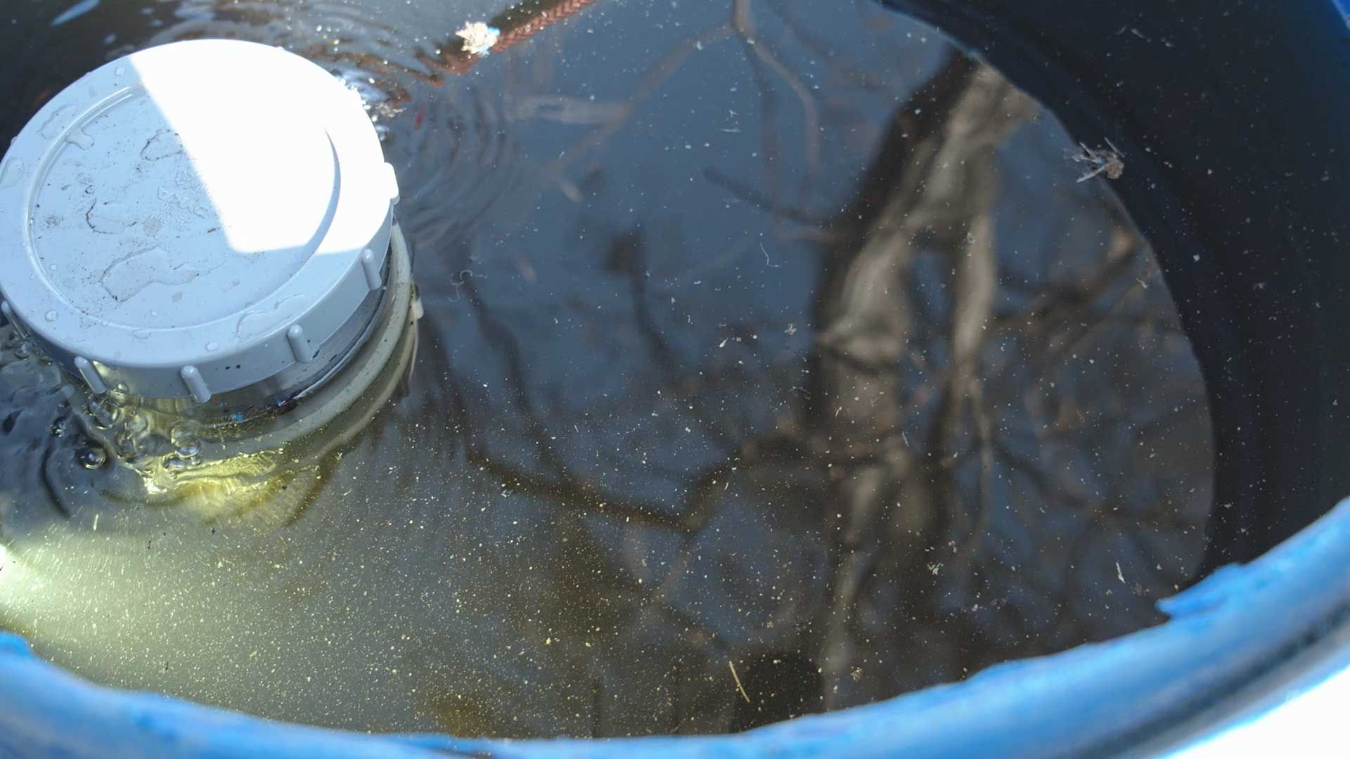 referenzen/bestpratice-farm