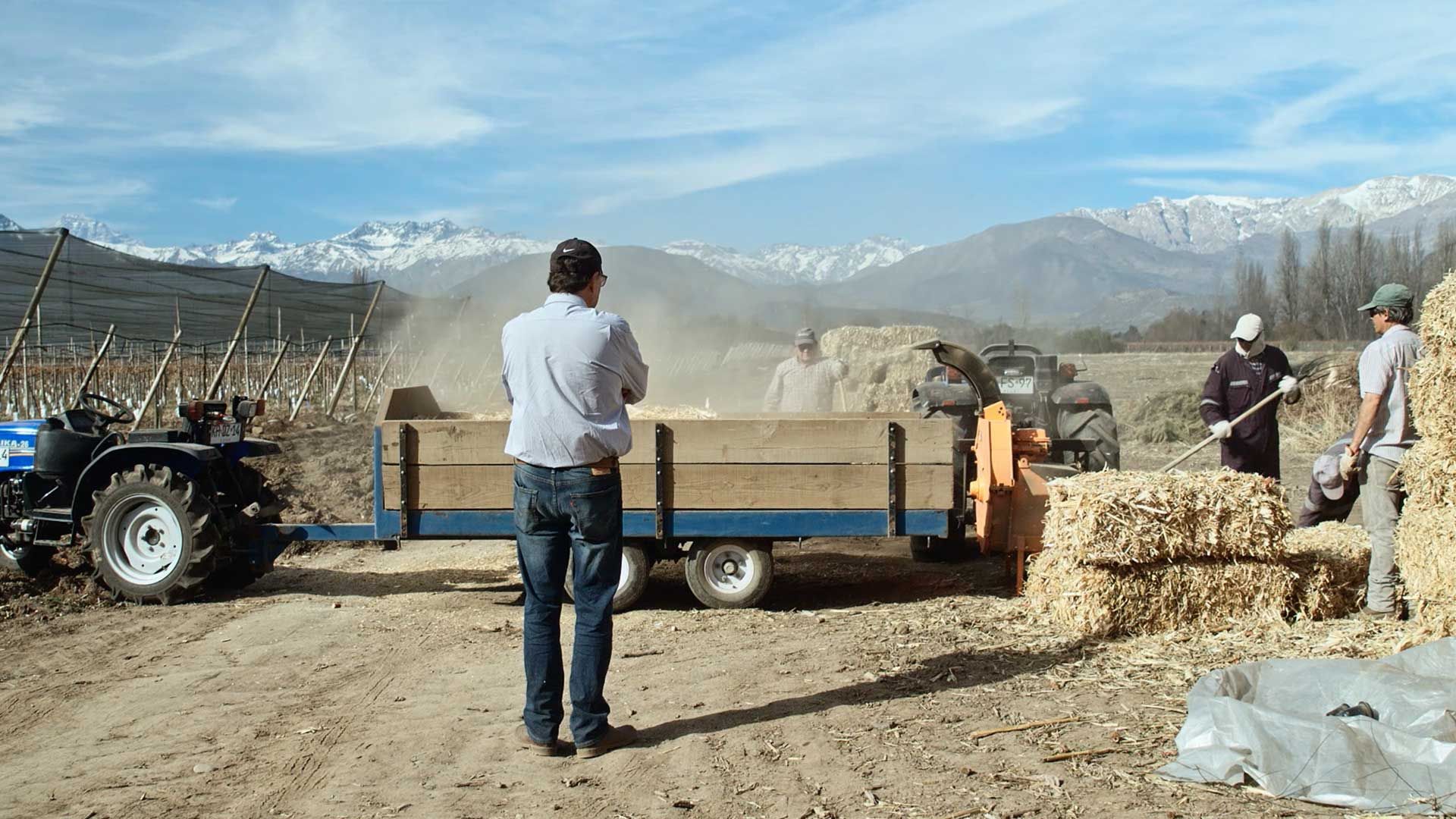 referenzen/bestpratice-farm