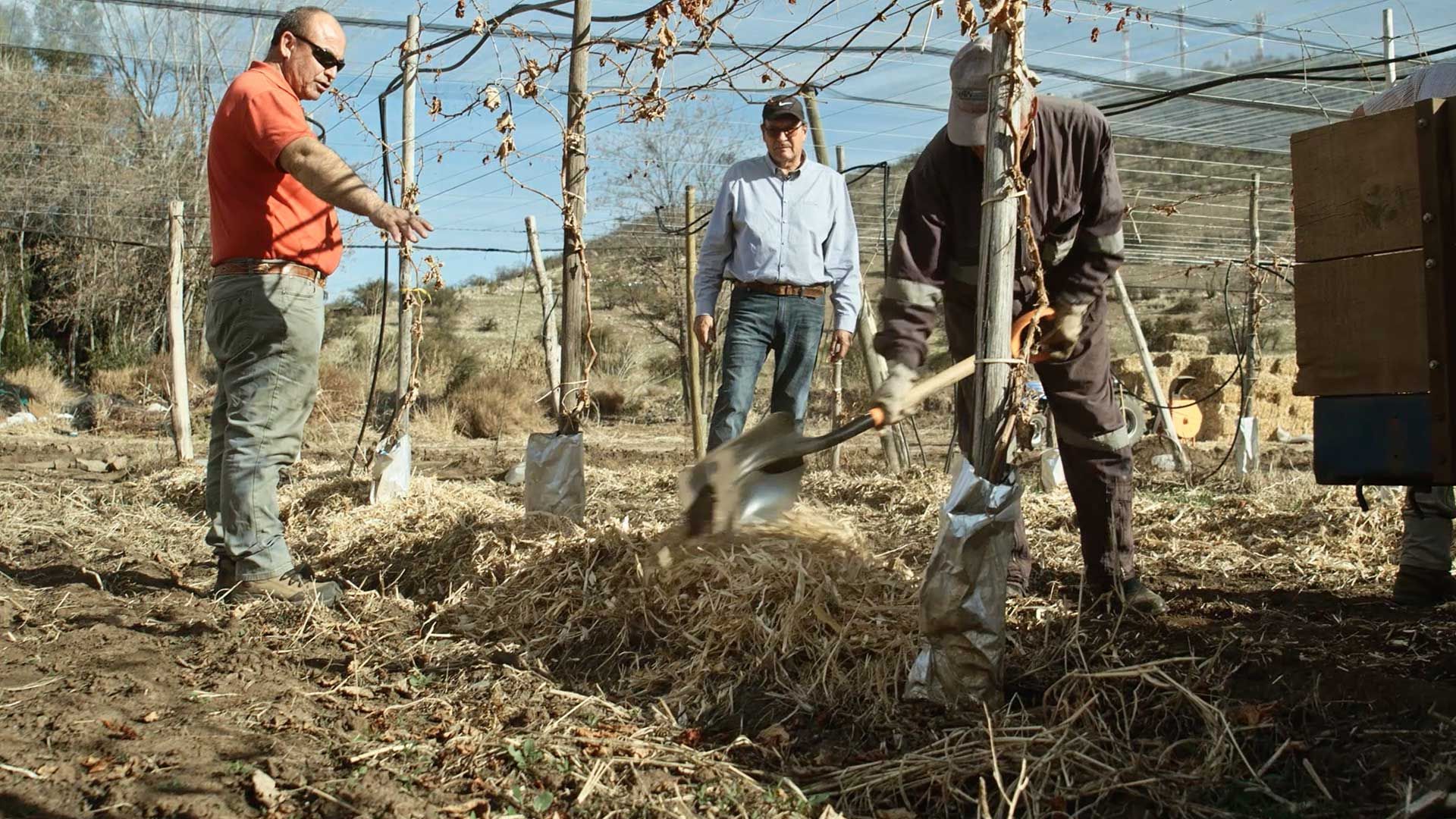 referenzen/bestpratice-farm