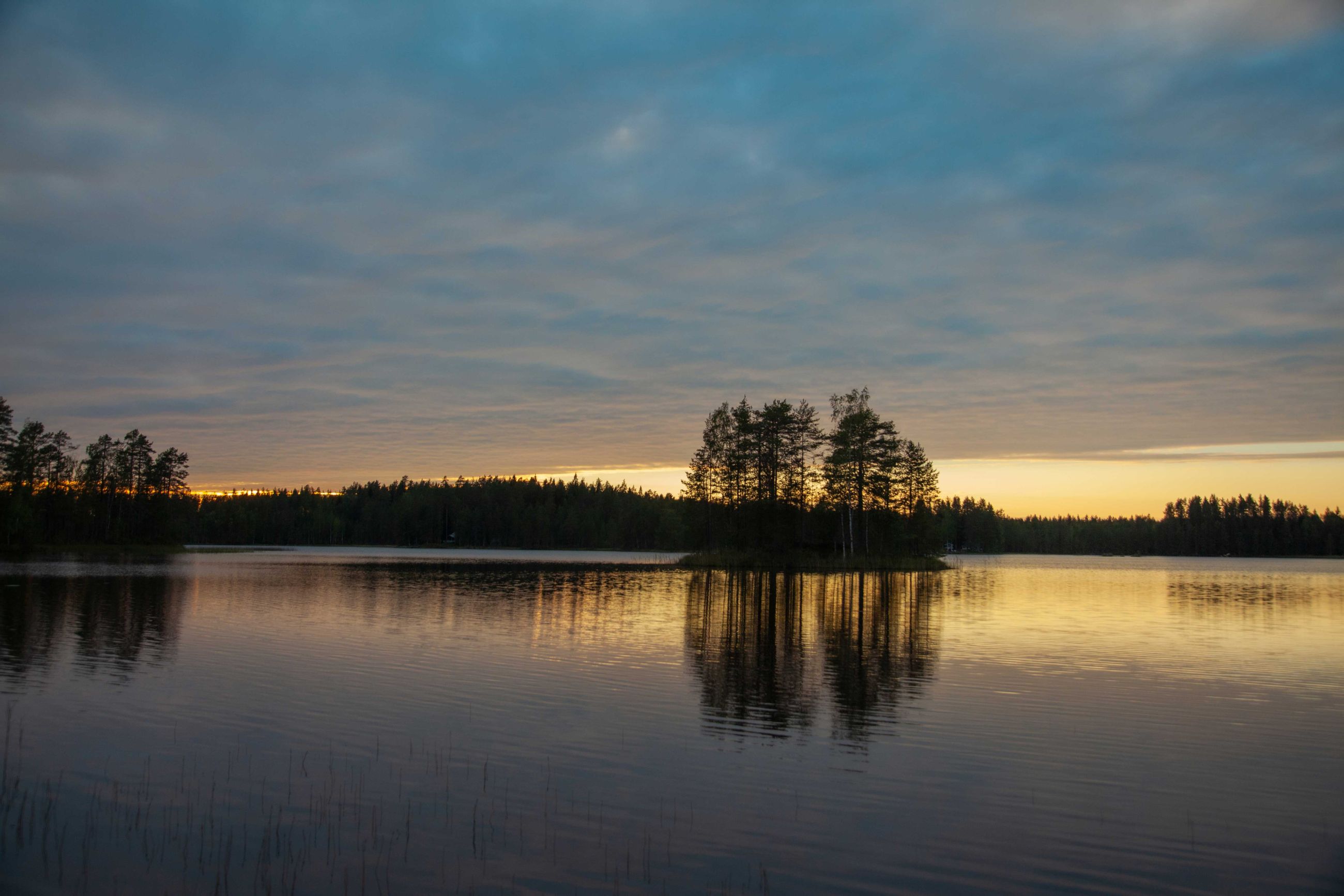 referenzen/rewilding-hogan-lovels-campaign