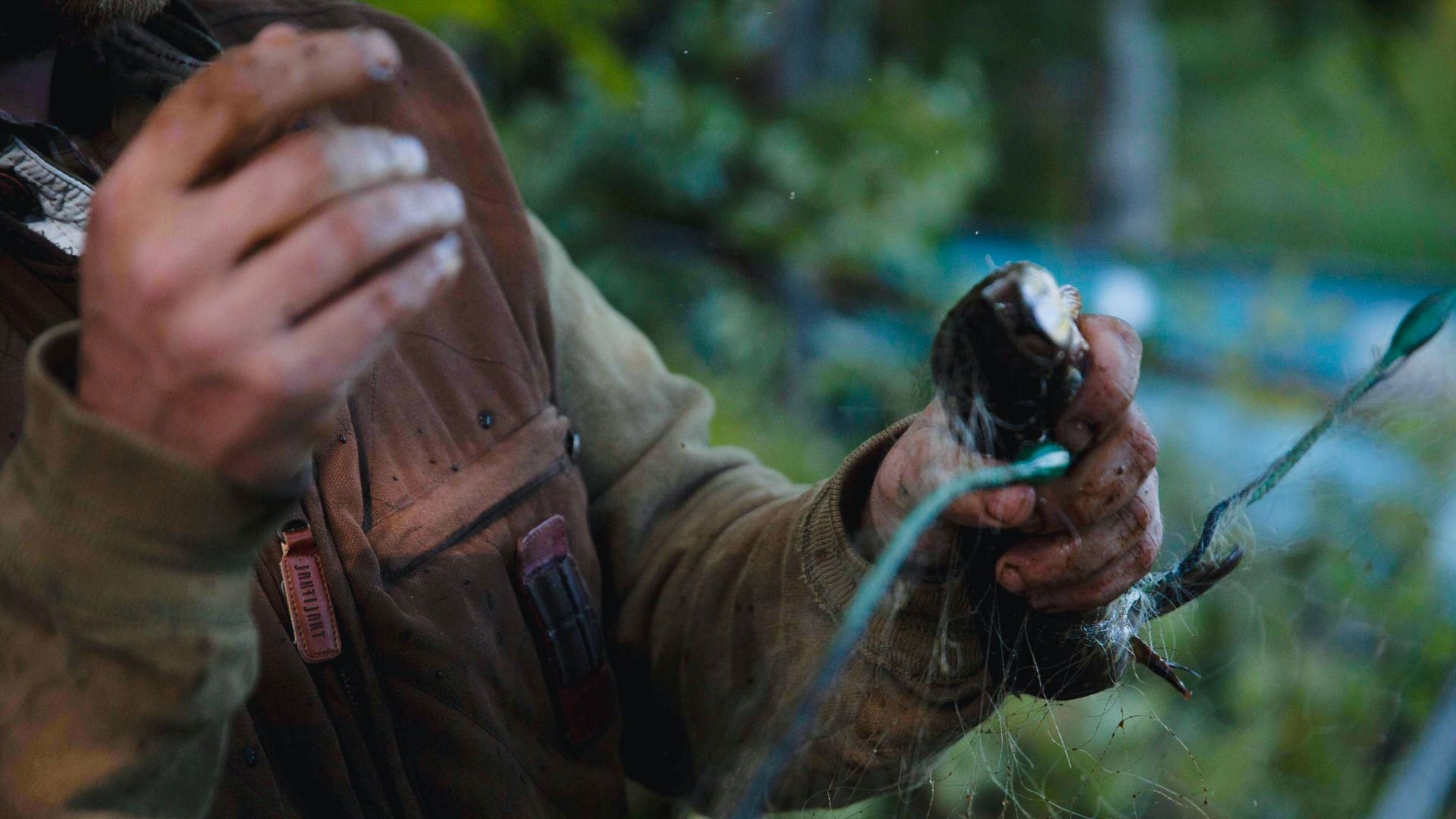 referenzen/rewilding-hogan-lovels-campaign