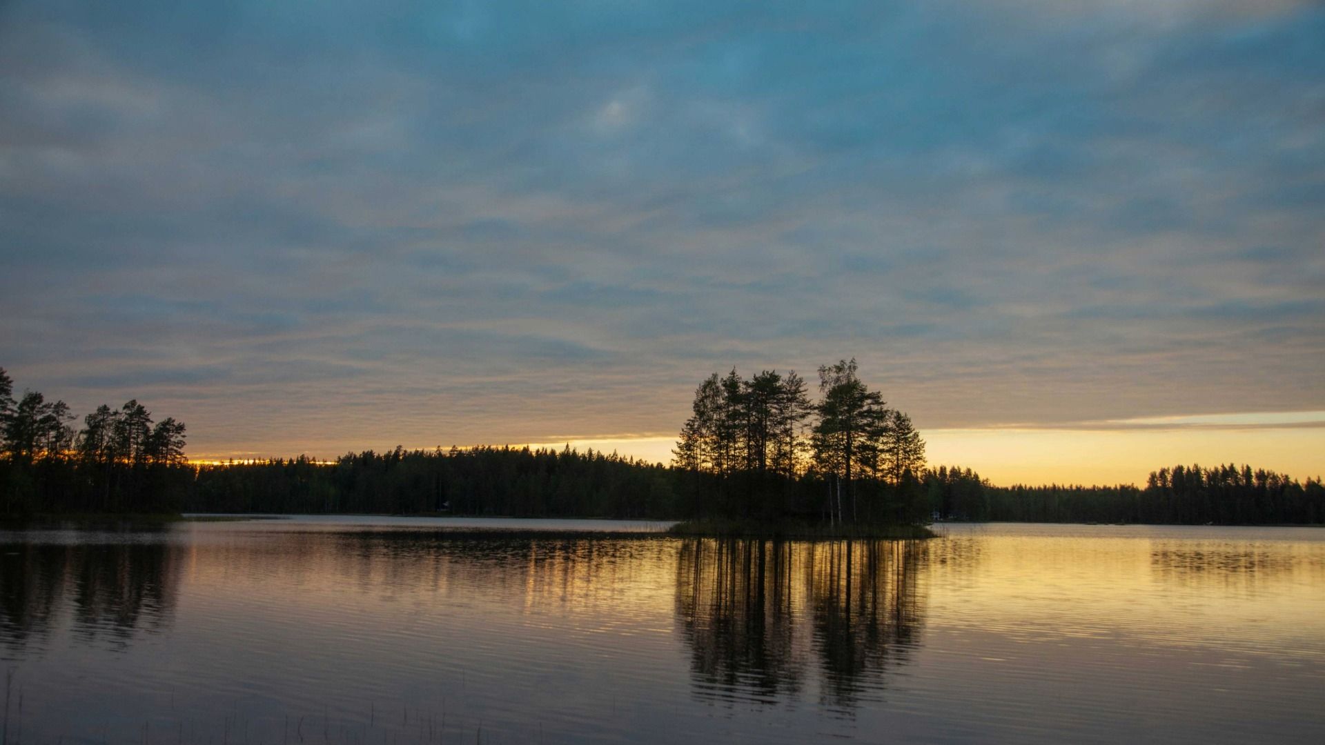 referenzen/rewilding-hogan-lovels-campaign