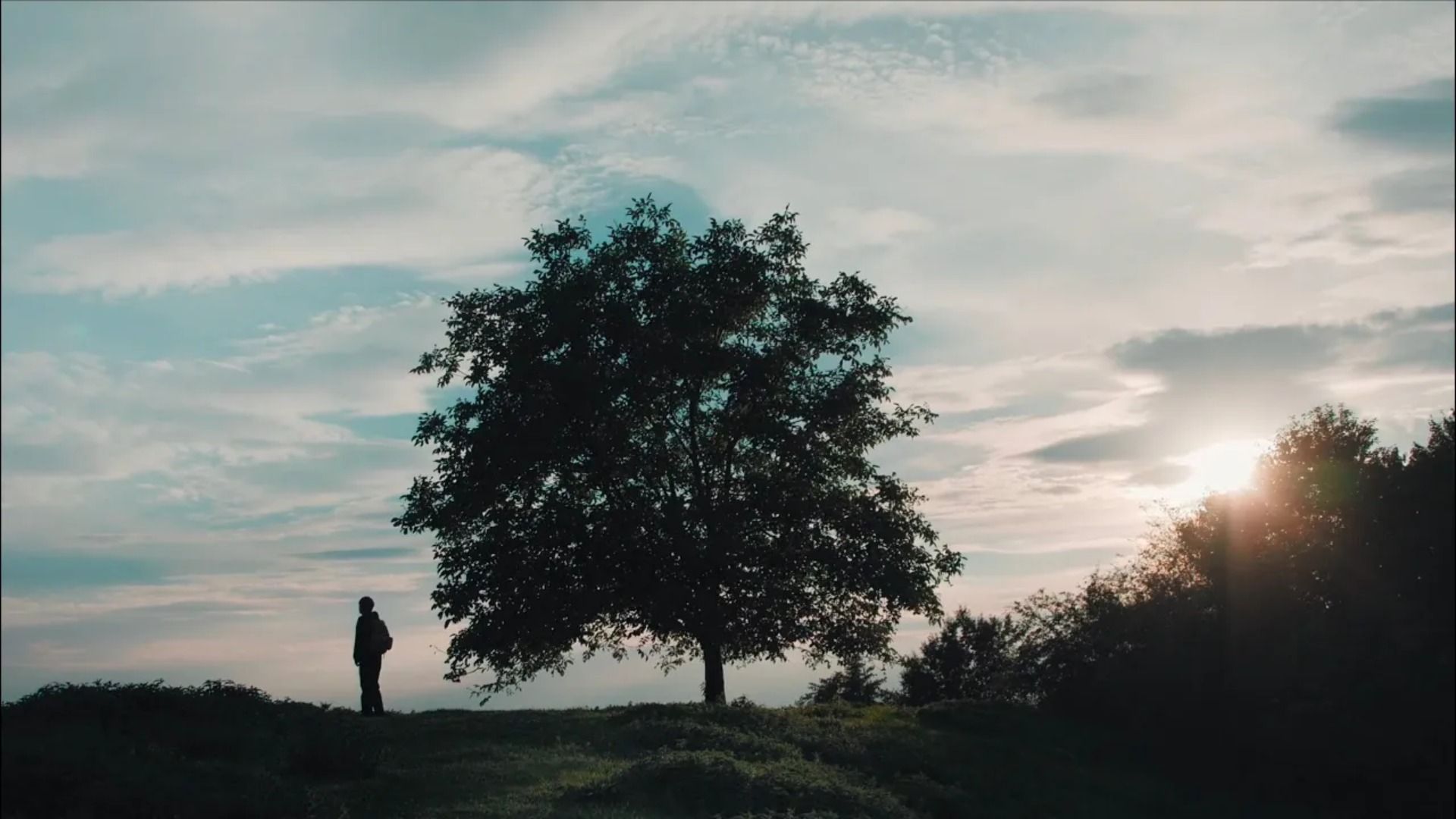 referenzen/social-entrepreneurship-akademie